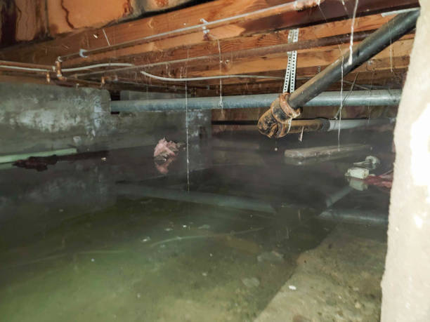Water damage restoration process in NC