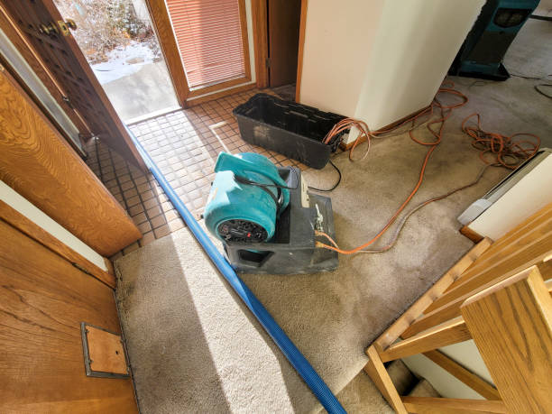 Best Professional water damage repair  in Burlington, NC