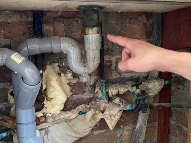 Best Basement water damage restoration  in Burlington, NC