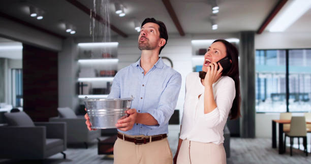 Best Water damage restoration near me  in Burlington, NC